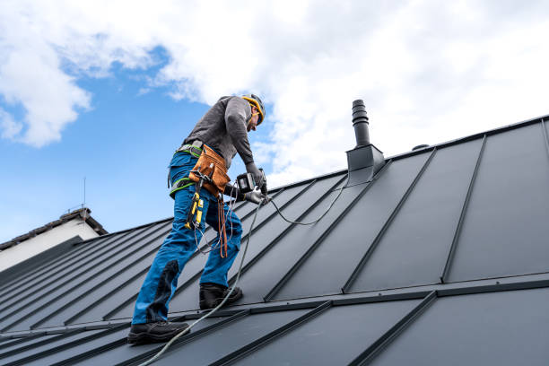 Best Emergency Roof Repair Services  in Alton, TX